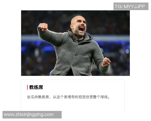 从球场到教练席：足球巨星转型之路与教练生涯解析